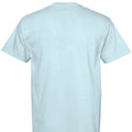 CHAMBRAY - BACK