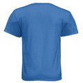Heather Cool Blue - N6210 - BACK